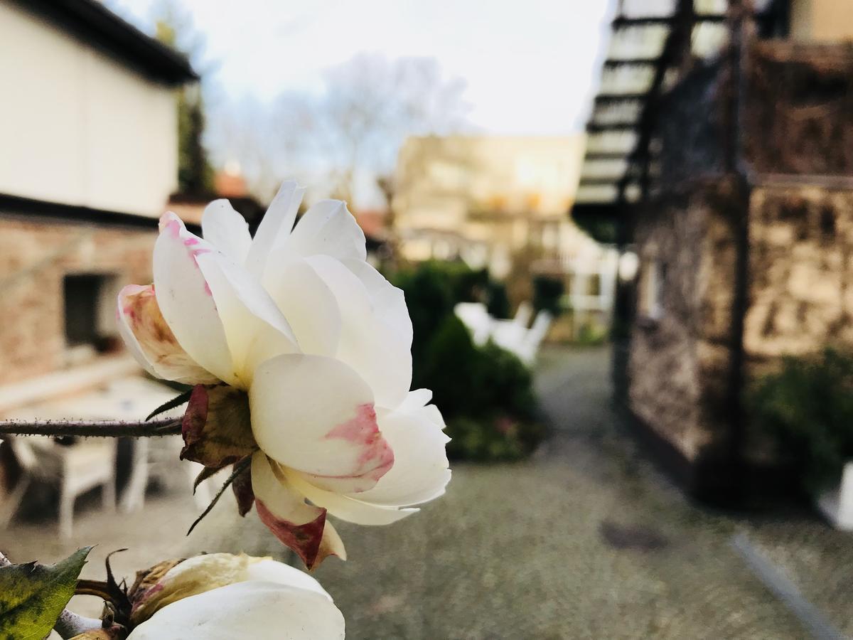Villa Pod Orzechem W Zaniemyslu Luaran gambar
